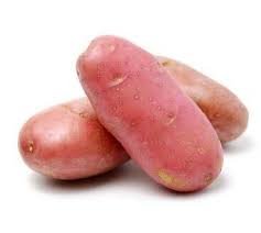 BATATA RENA VERMELHA