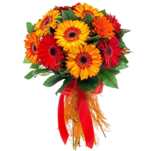 GERBERA (CORES VARIADAS)